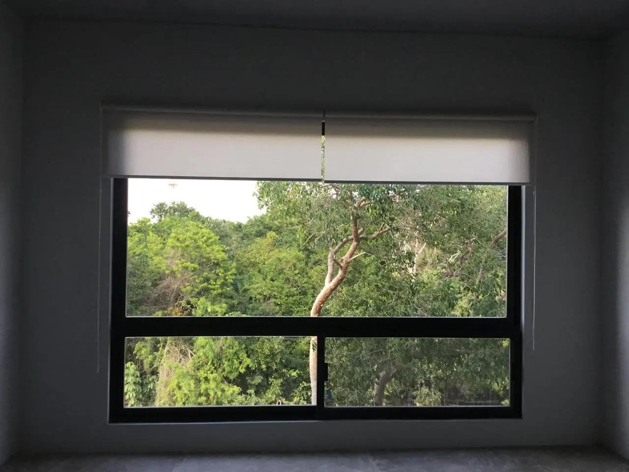 Отель Casa Patrones Тулум 2*,